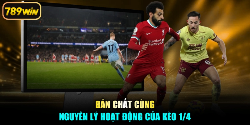 Bản chất cùng nguyên lý hoạt động của kèo 1/4