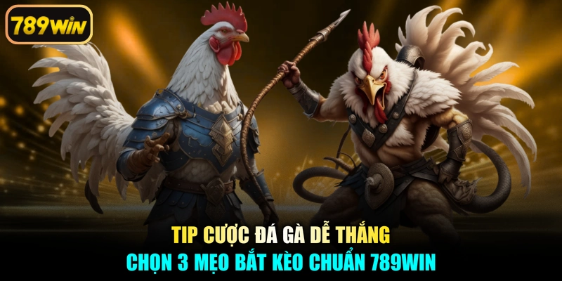 Tip Cược Đá Gà Dễ Thắng - Chọn 3 Mẹo Bắt Kèo Chuẩn 789win