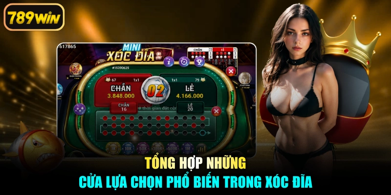 Tổng hợp những cửa lựa chọn phổ biến trong xóc đĩa
