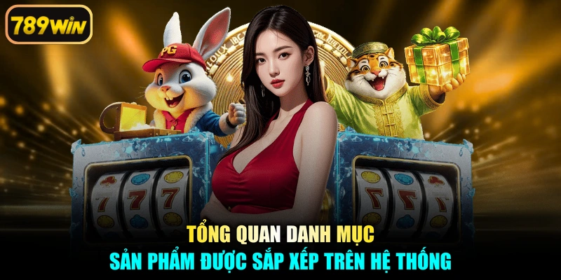 Tổng quan danh mục sản phẩm được sắp xếp trên hệ thống